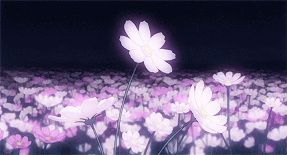 Banner Background