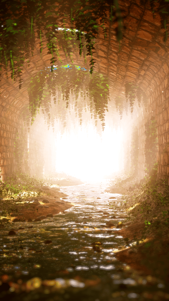 Banner Background