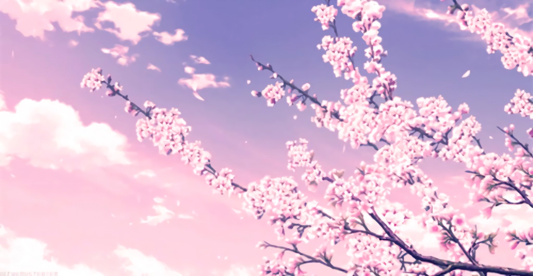 Banner Background