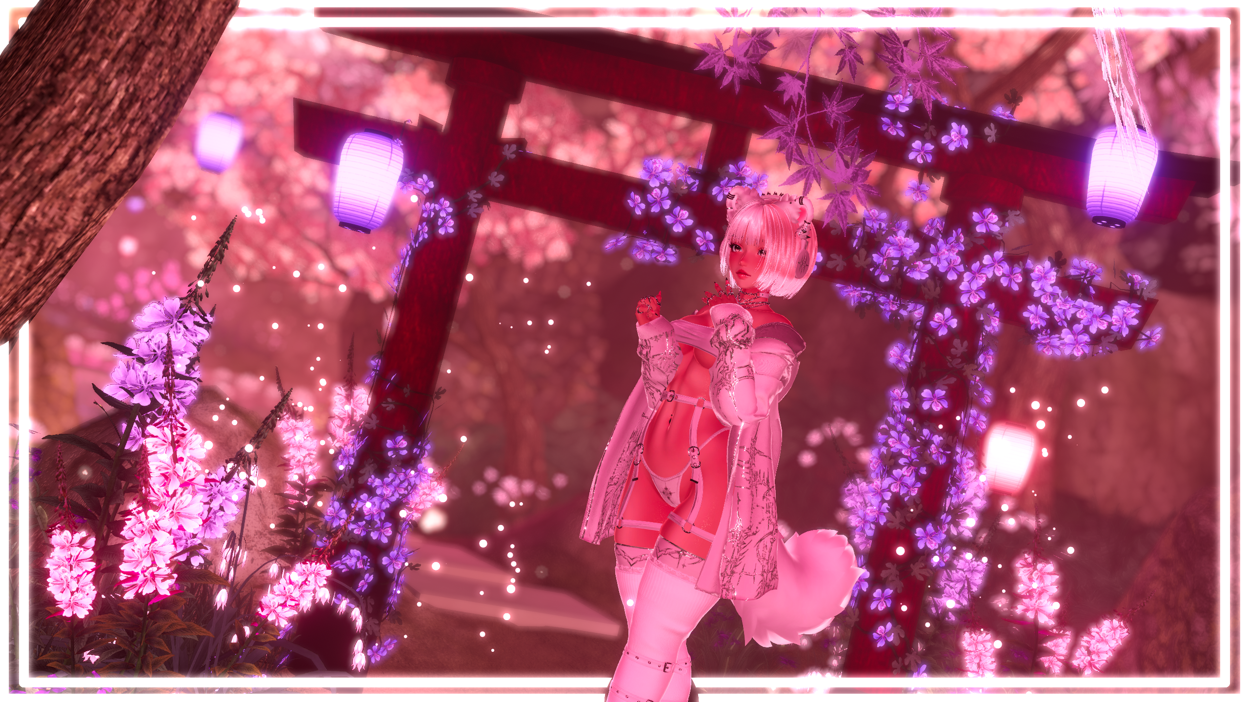 EVELYNN『PC,FT,SPS,GOGO』