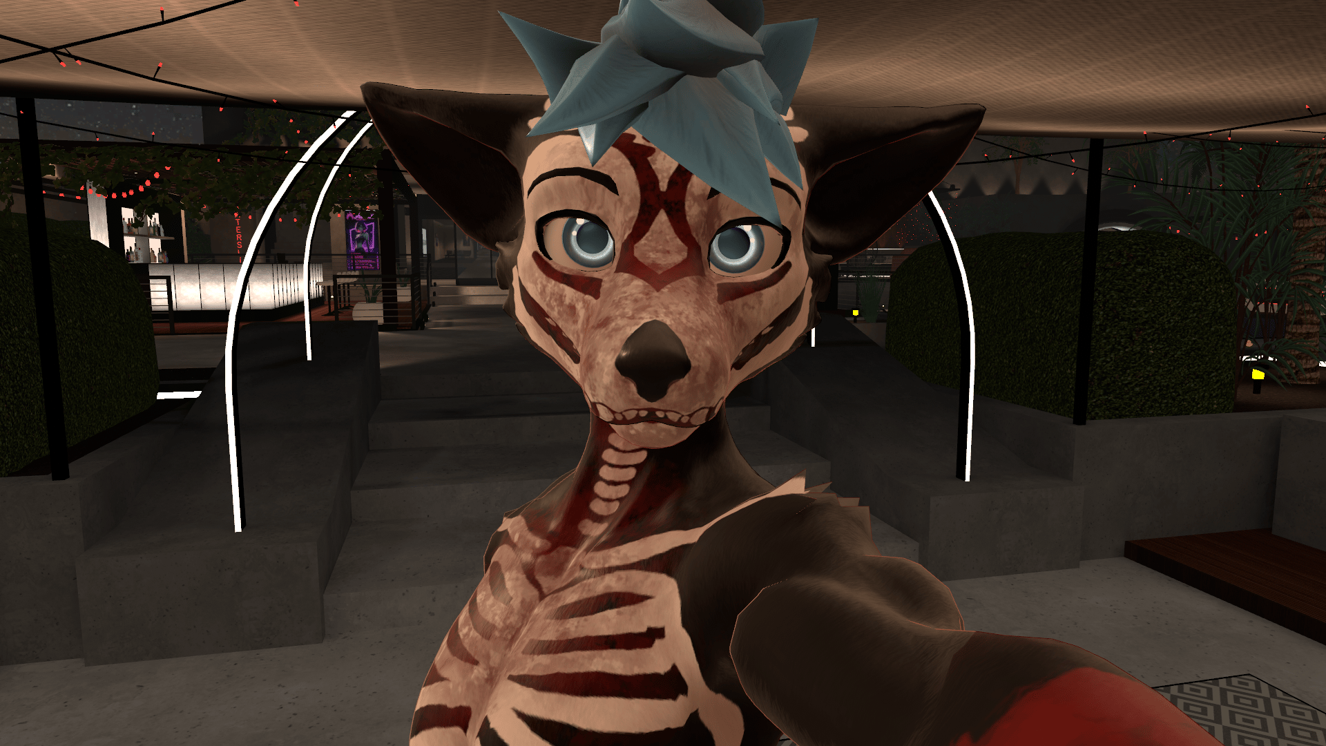 Viwi skull