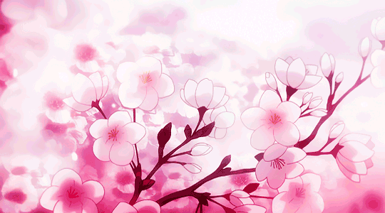 Banner Background