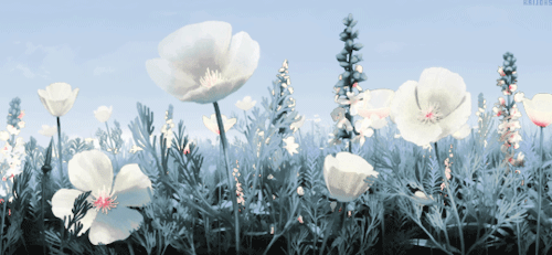 Banner Background