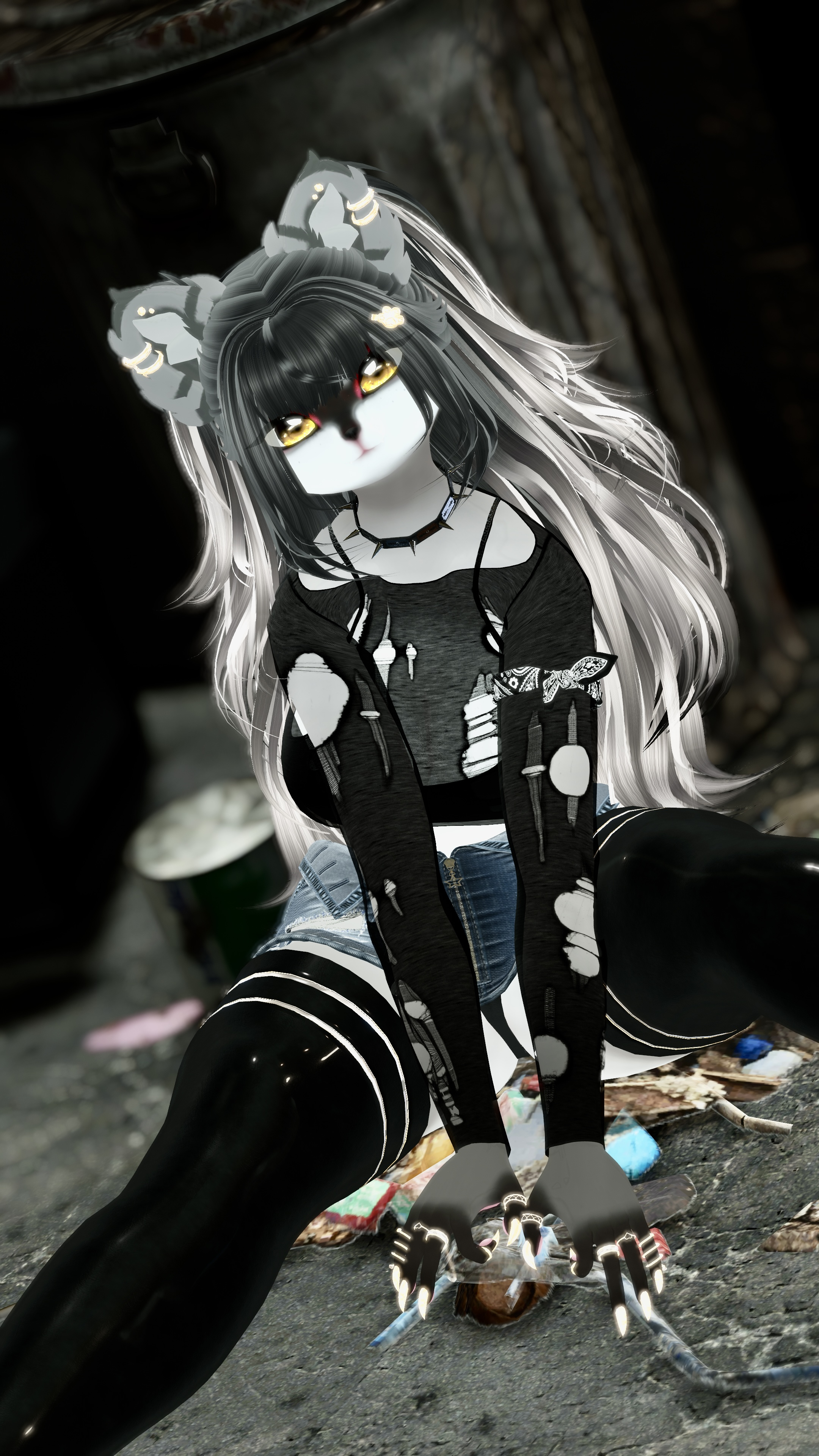 Robin The Racoon and Red Panda (PC, & Facetracking ) 𓆩♡𓆪