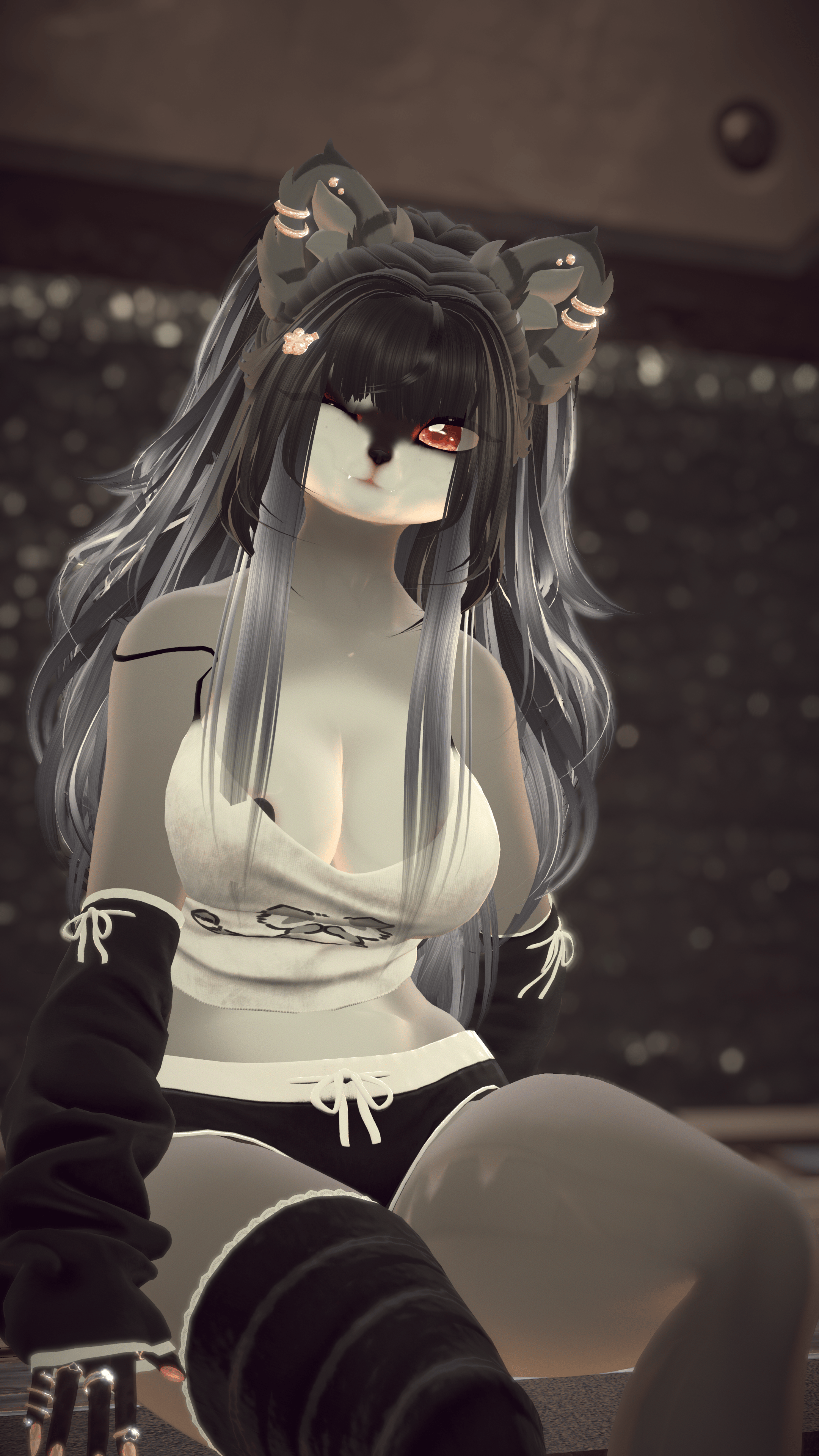Robin The Racoon and Red Panda (PC, & Facetracking ) 𓆩♡𓆪