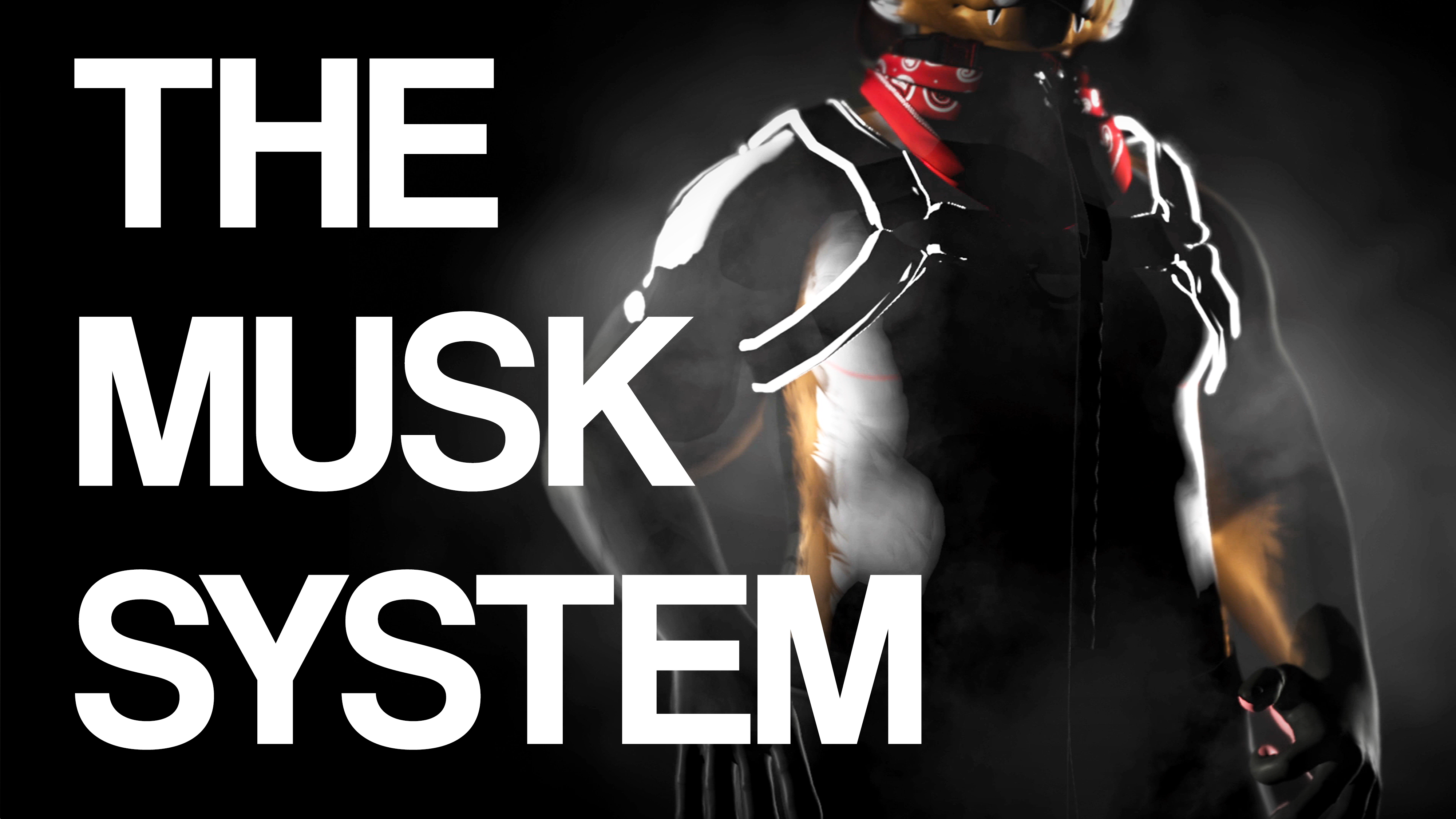 Banner Background