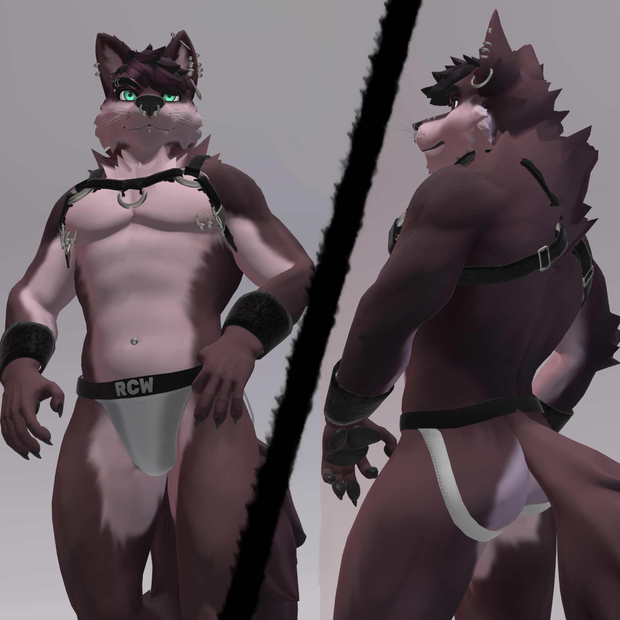 Climbing Gear for Reval City Wolf