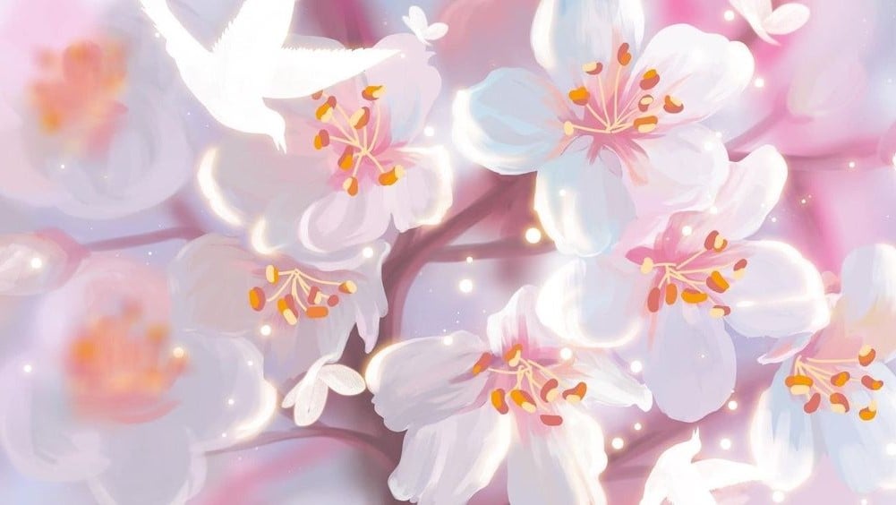Banner Background