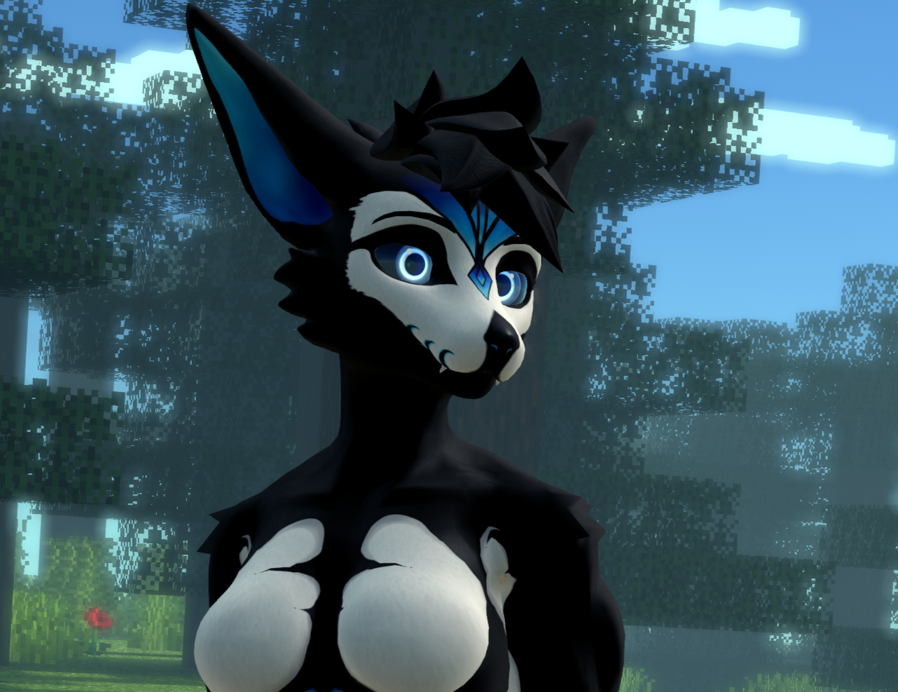Astra Viwi 