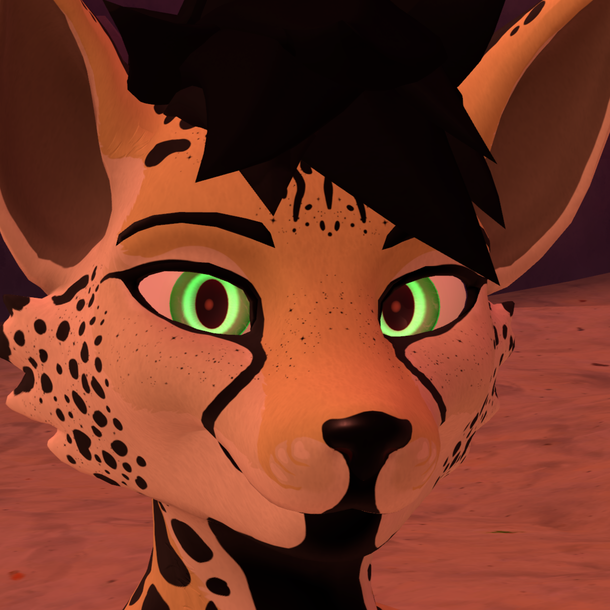 Viwi Cheetah's