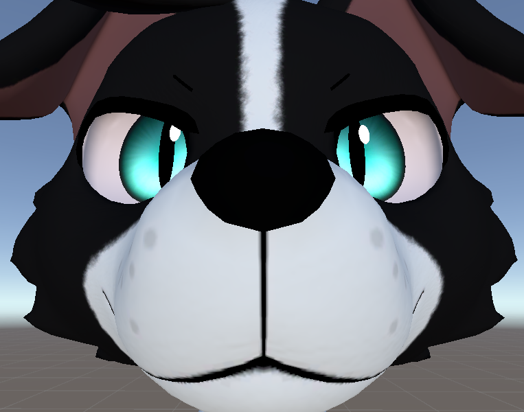 Regulus Border Collie texture