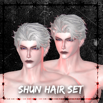 Shun Hair Pack