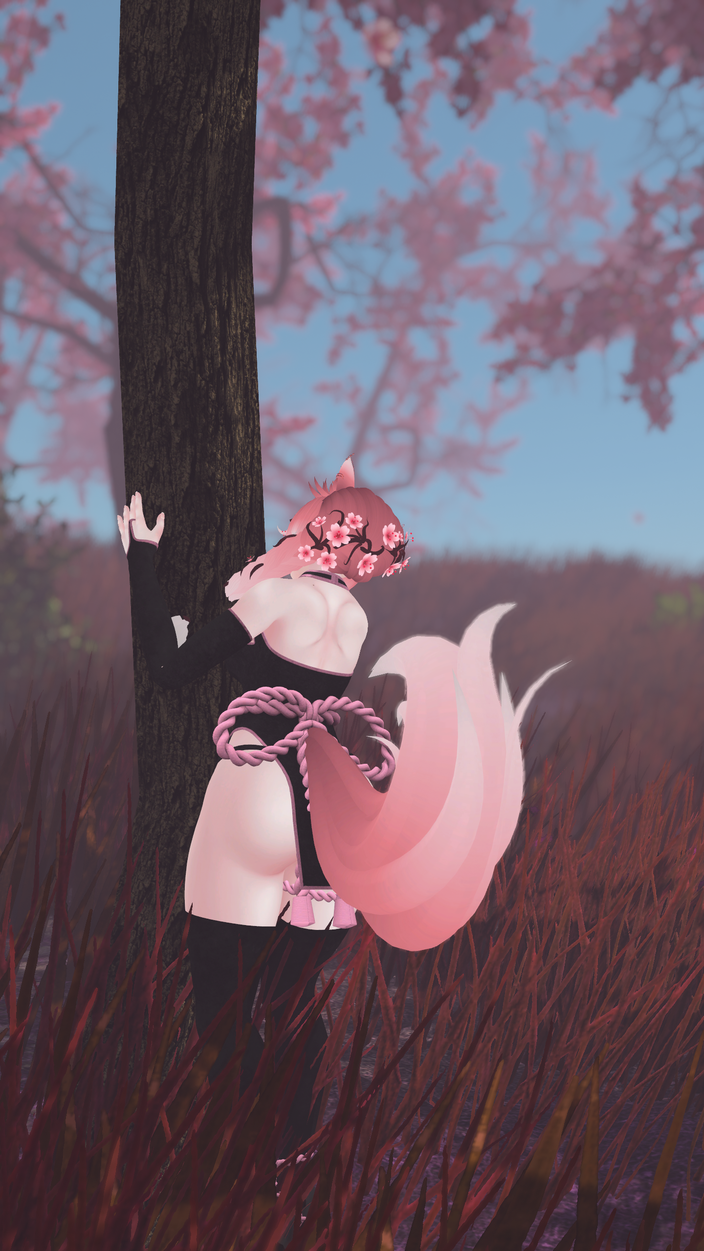 Sakura The Fox (PC/Q)