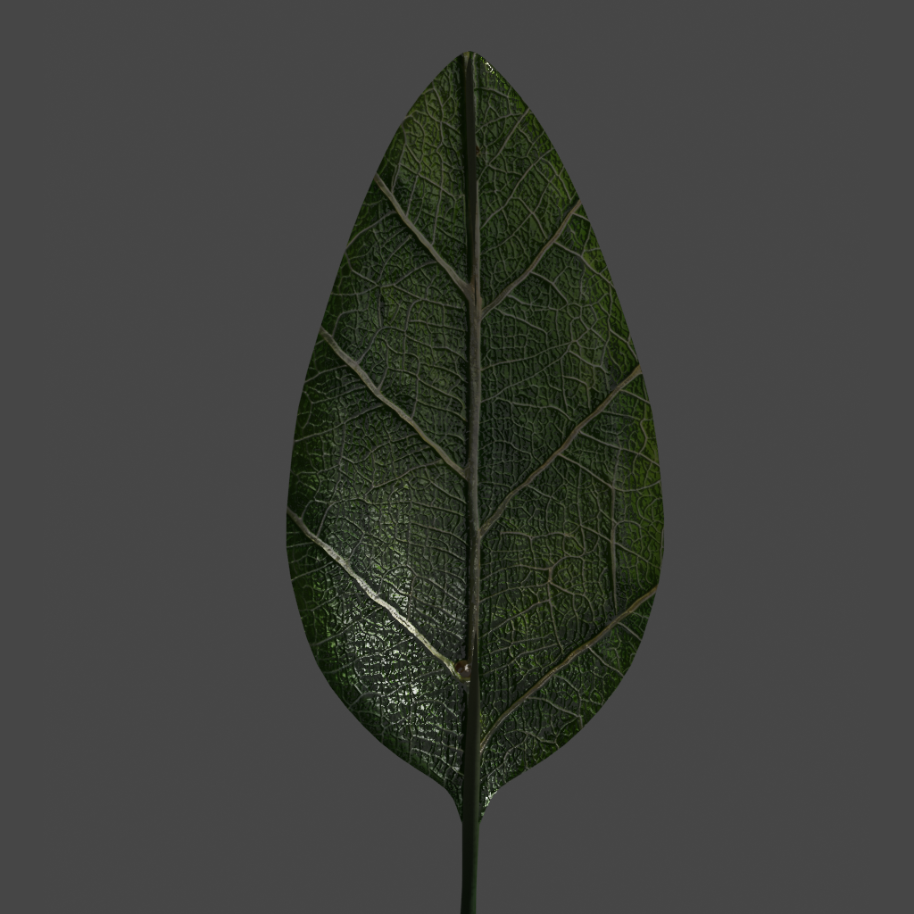 Leaf Umbrella