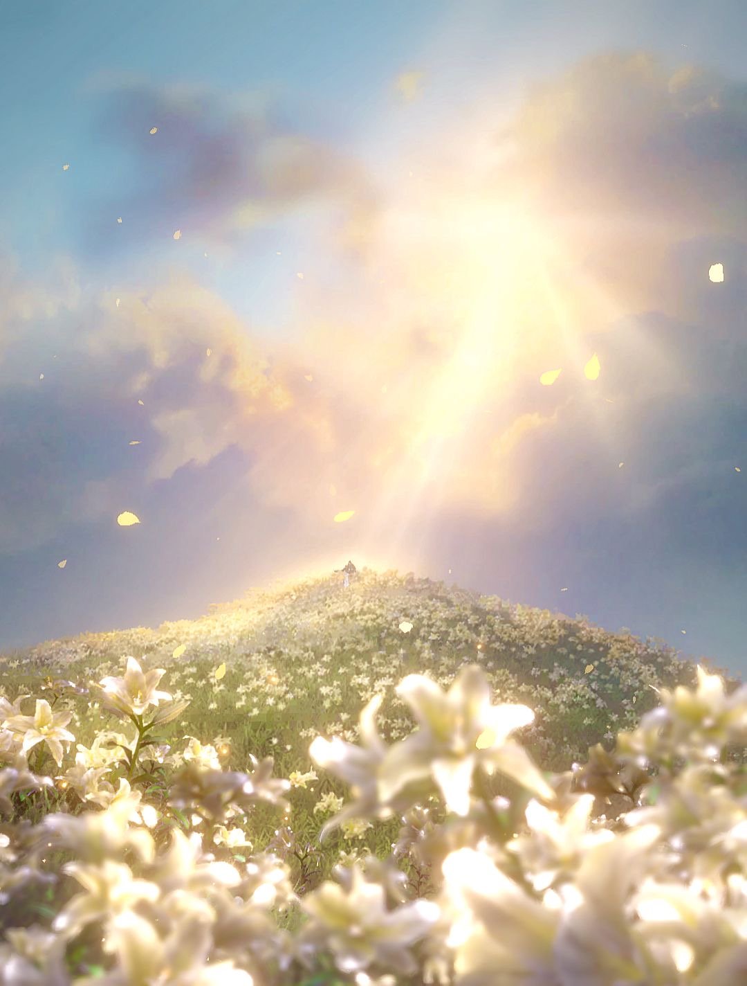 Banner Background