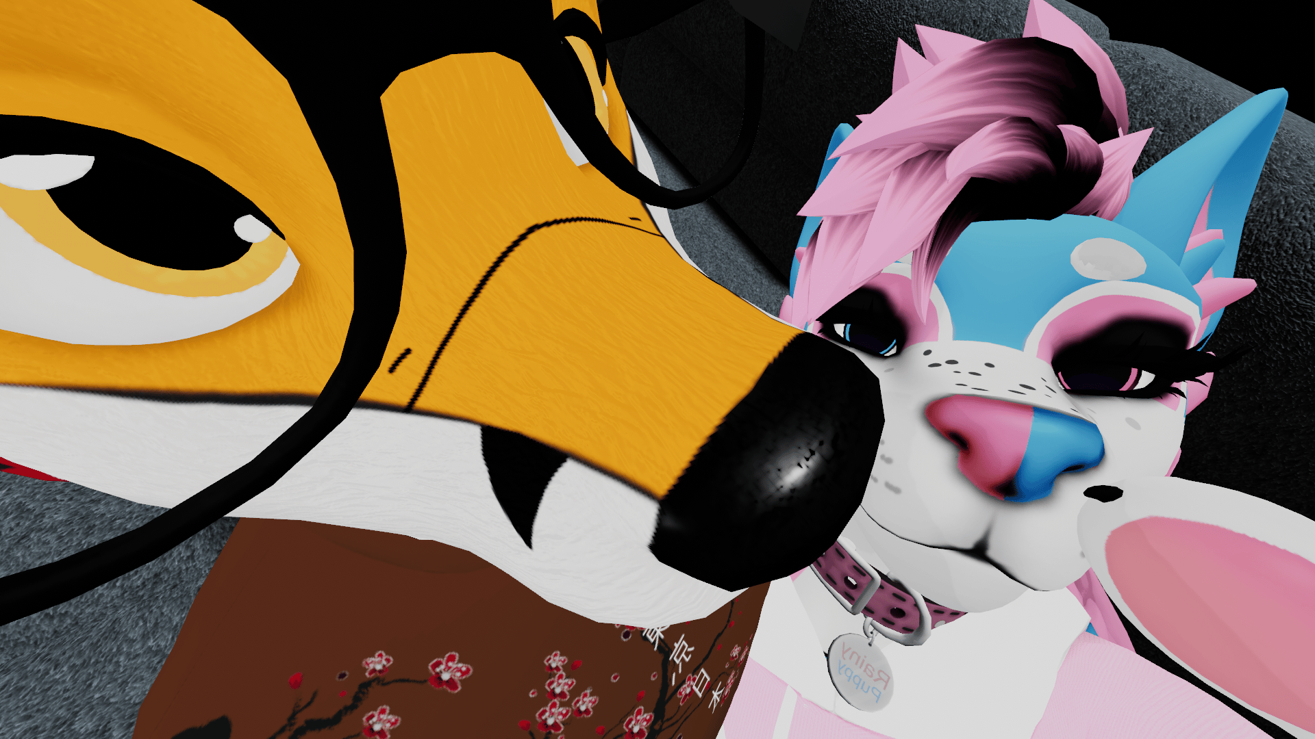 Banner Background