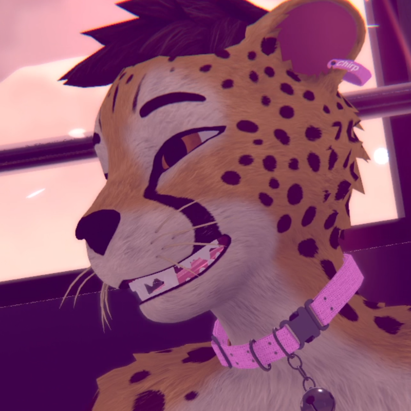 YAC - Yet Another Cat