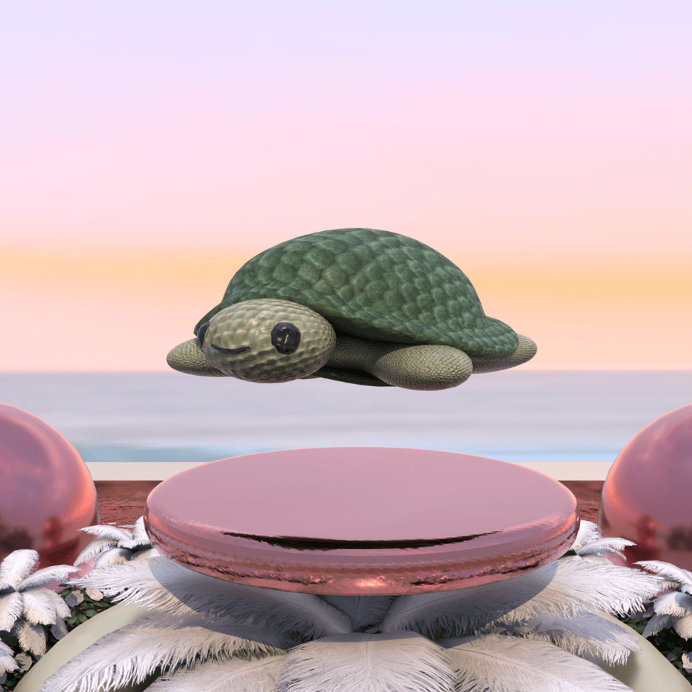 Turtle friend