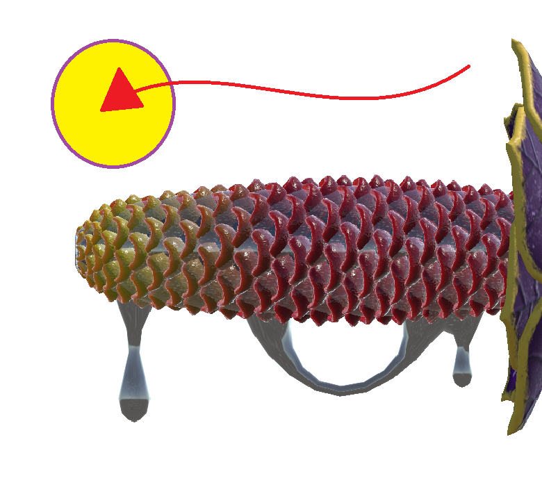 Monster Genetalia : Oozer (Beehive-Ginger)