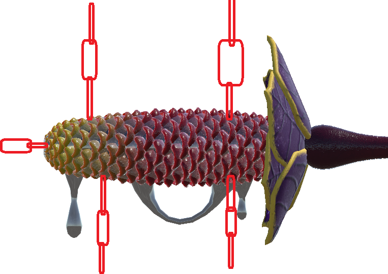 Monster Genetalia : Oozer (Beehive-Ginger)