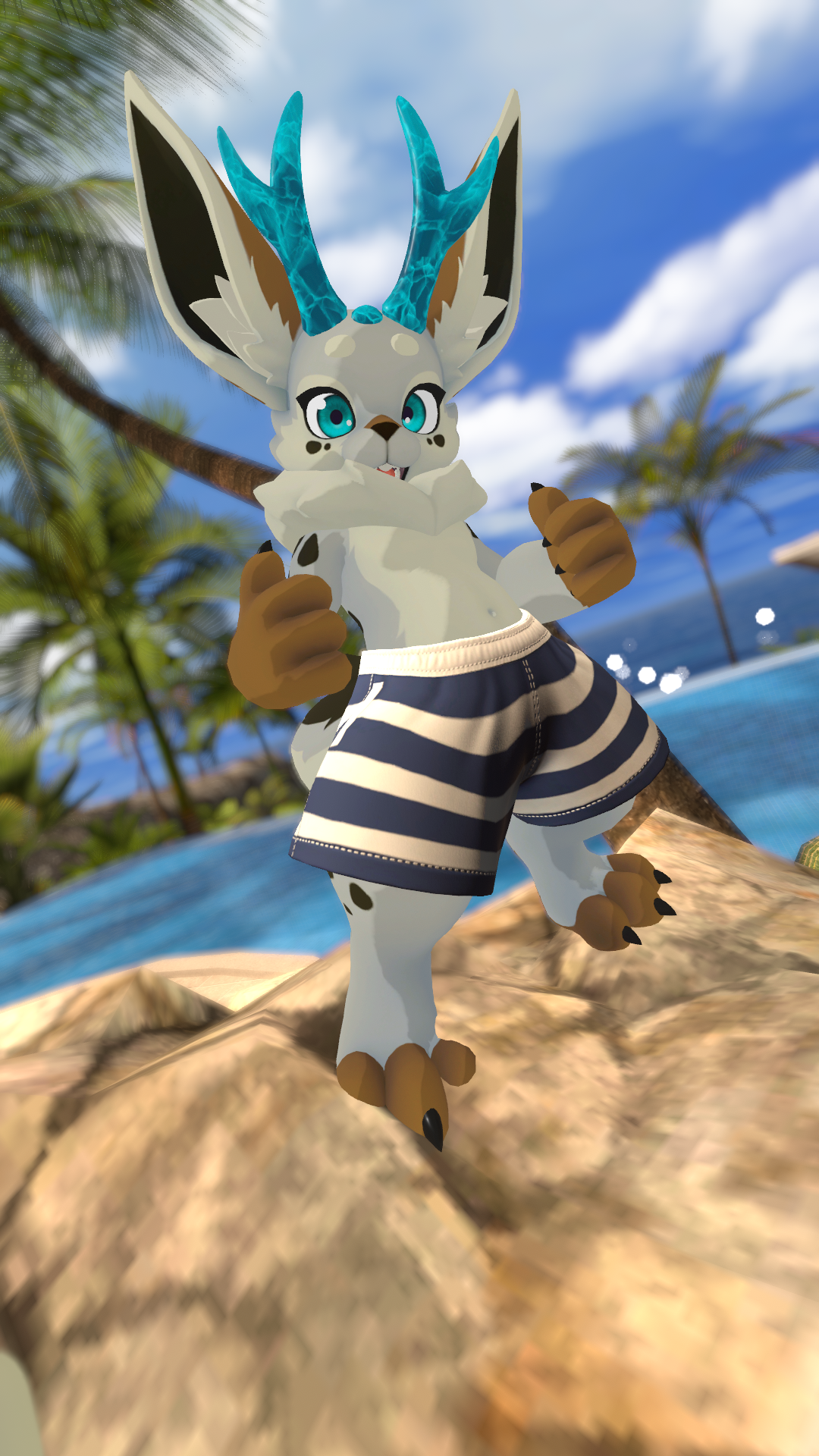 Swim Shorts