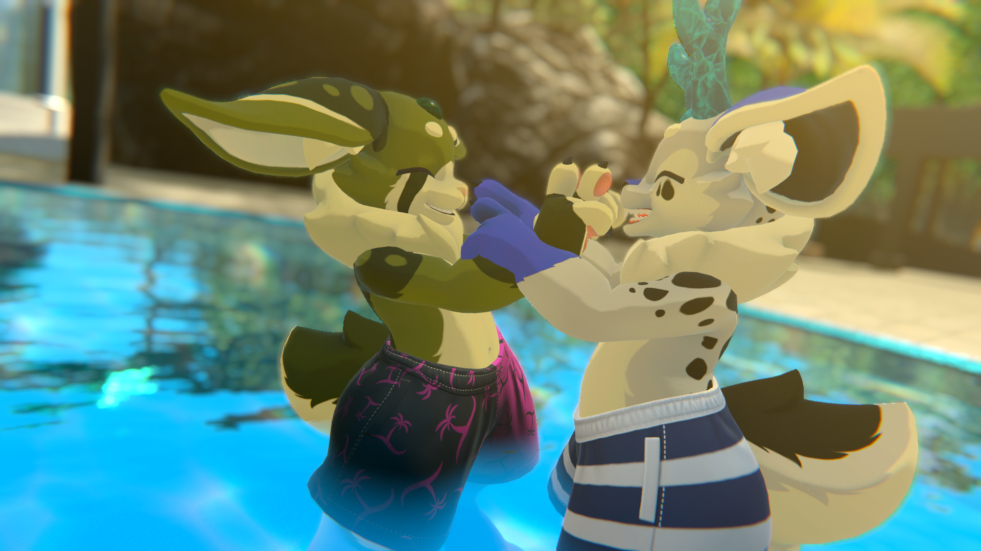 Swim Shorts