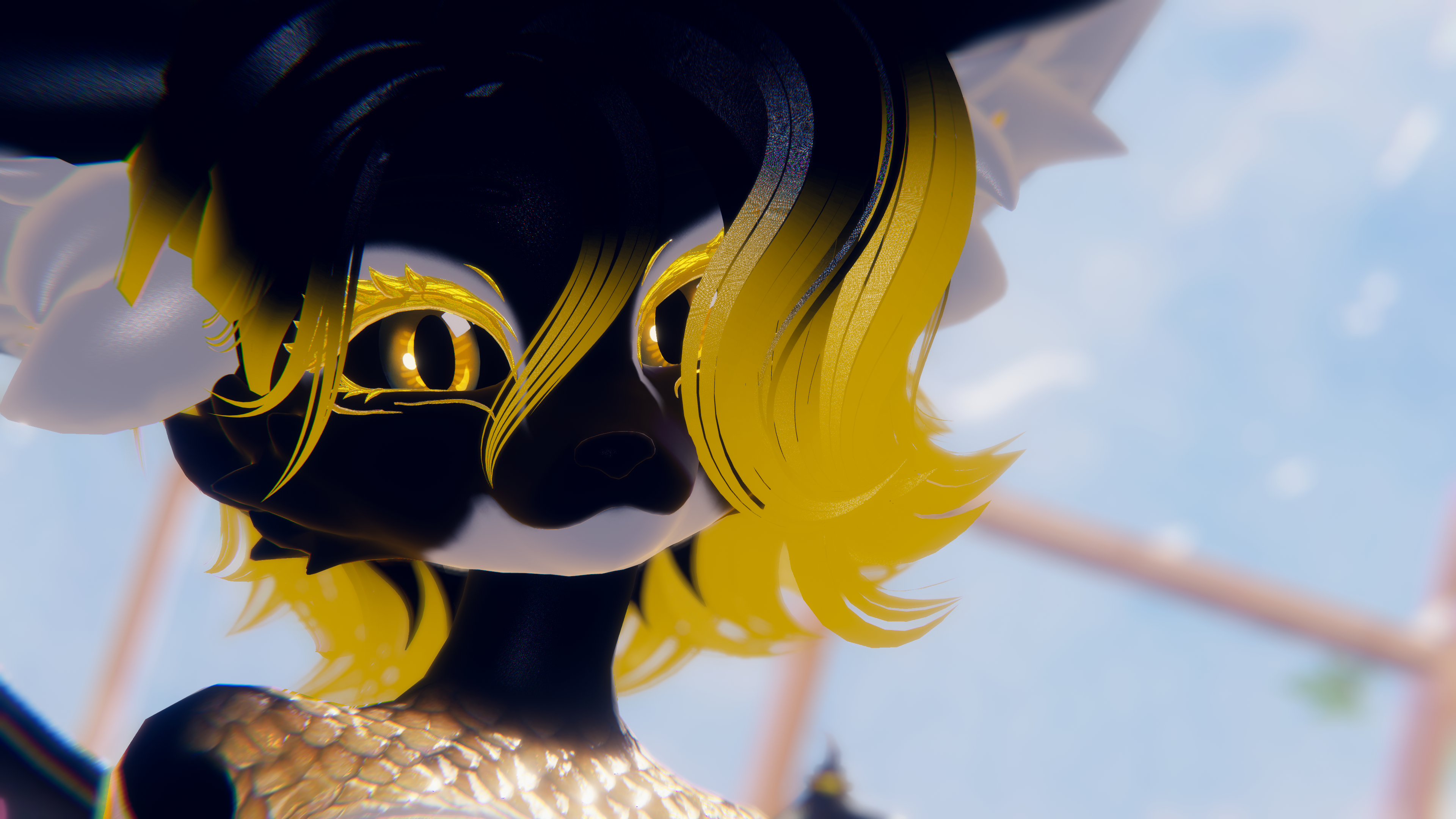 Banner Background
