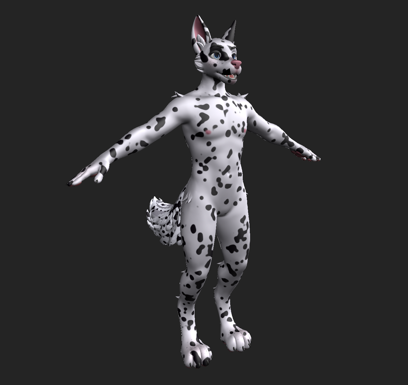 Dalmatian WinterPaw Texture