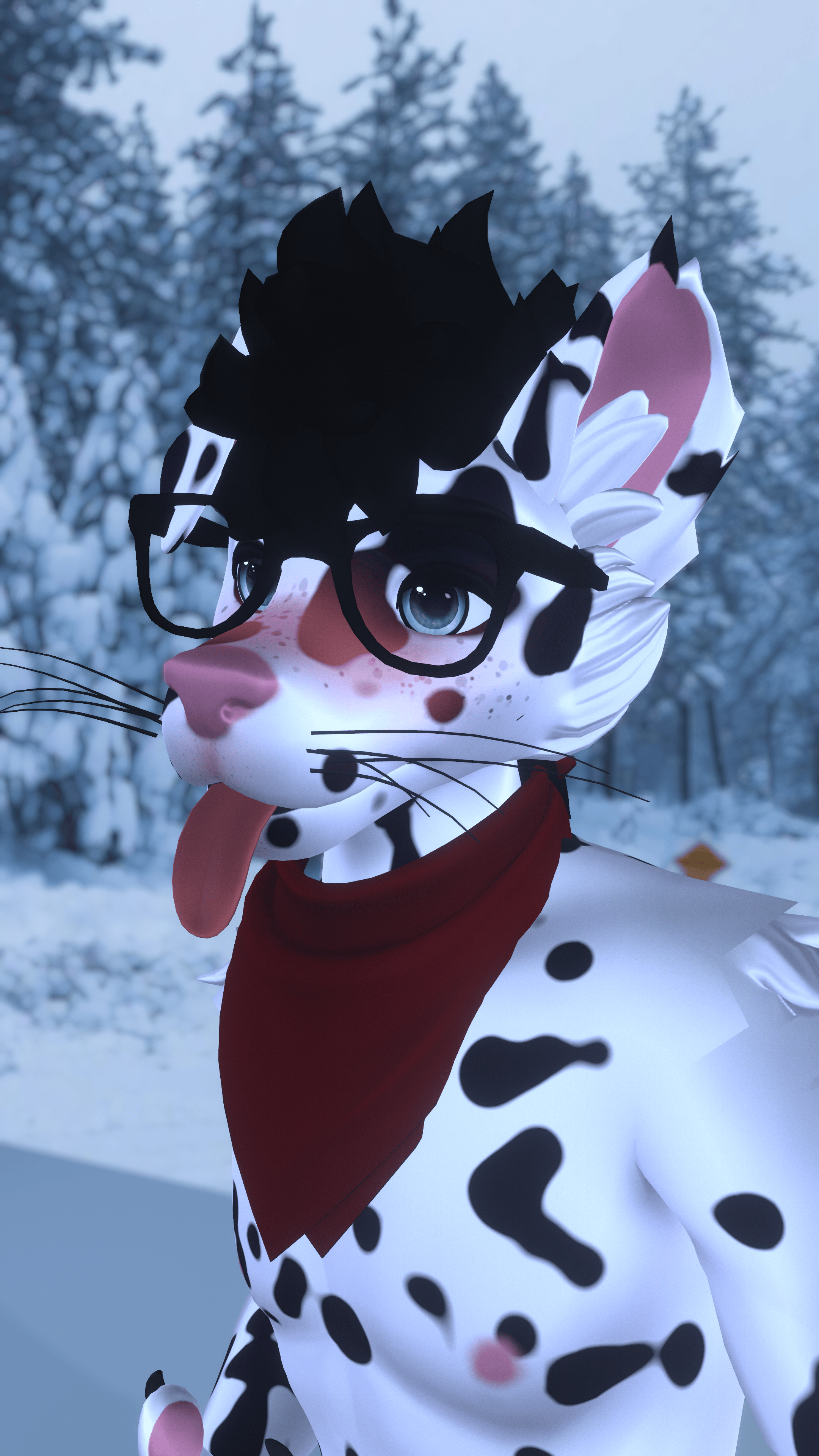 Dalmatian WinterPaw Texture