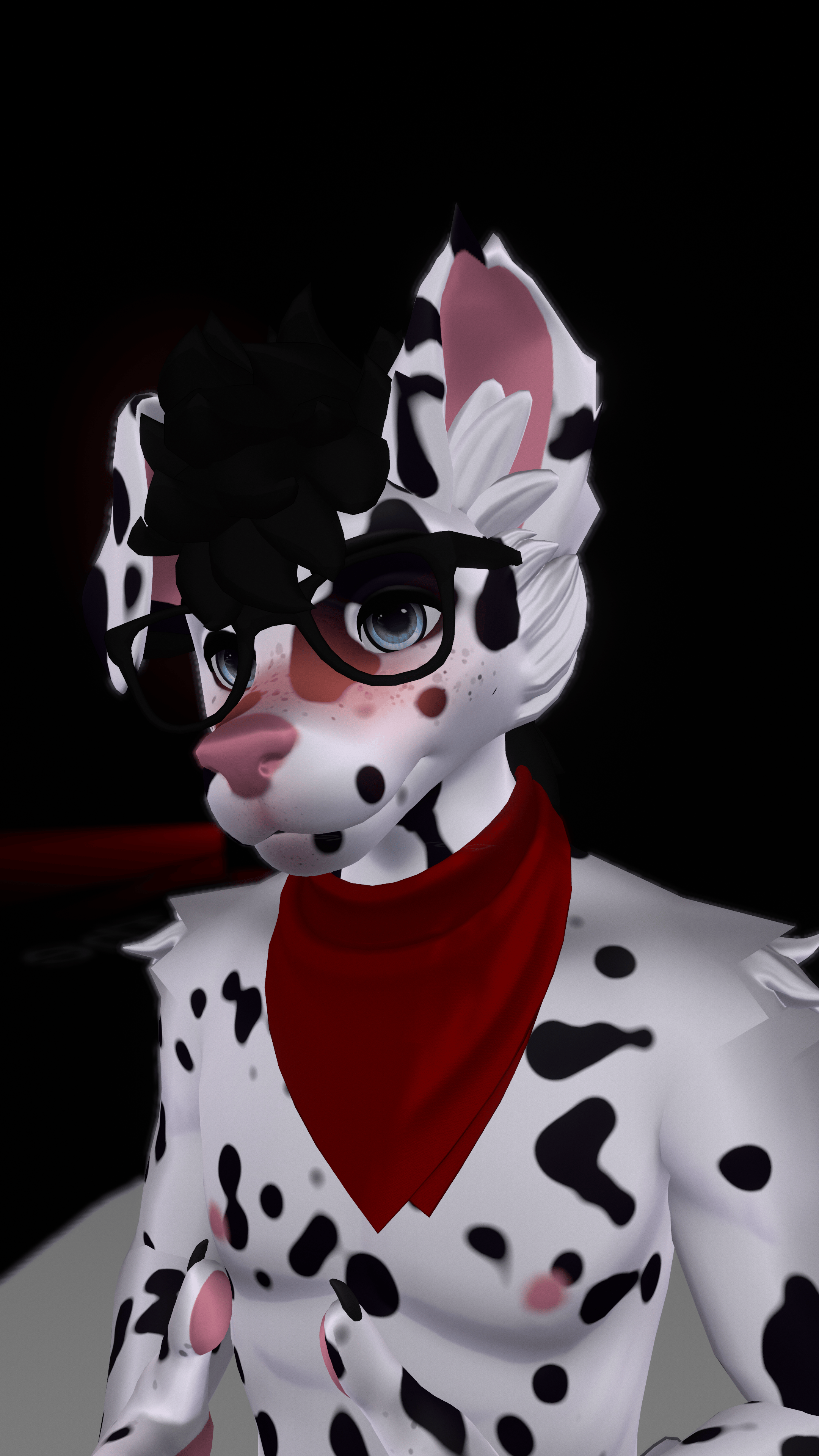 Dalmatian WinterPaw Texture
