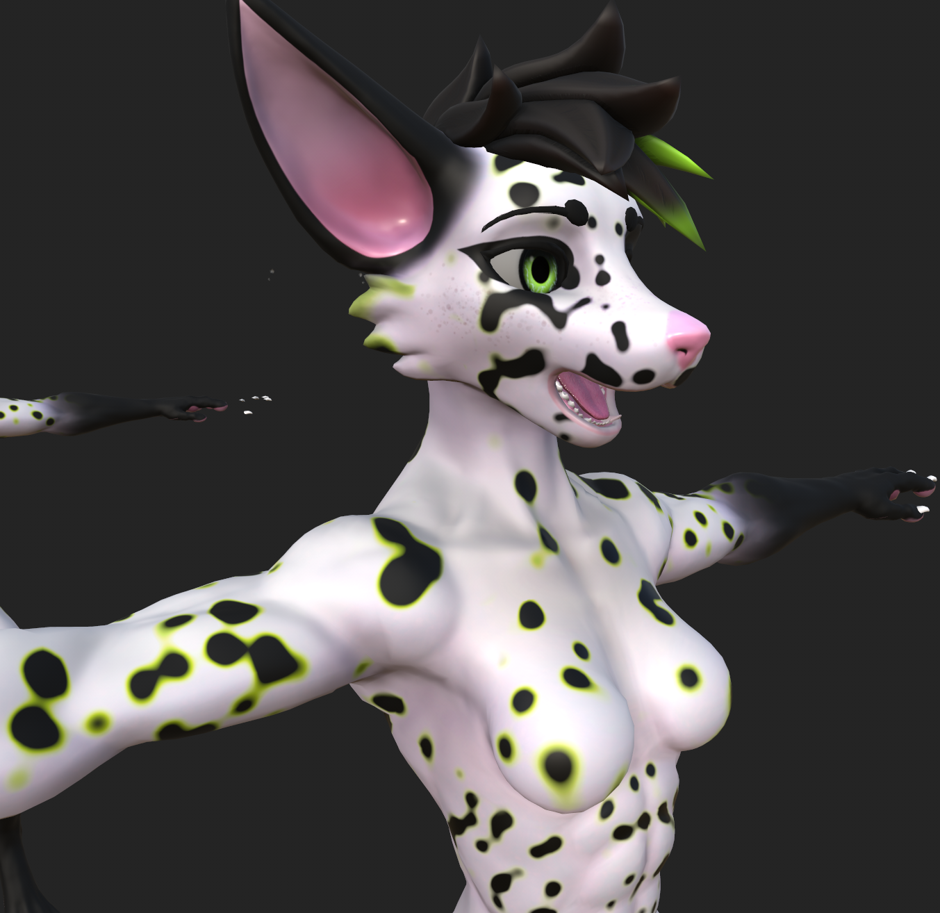 Dalmatian Viwi Texture
