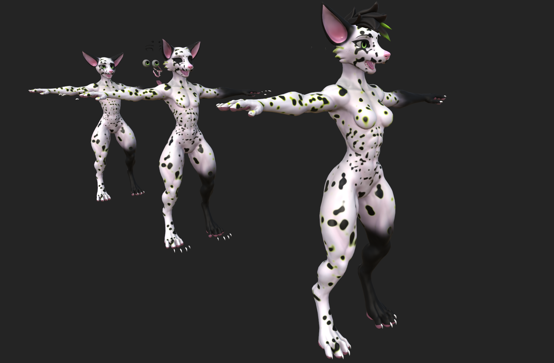 Dalmatian Viwi Texture