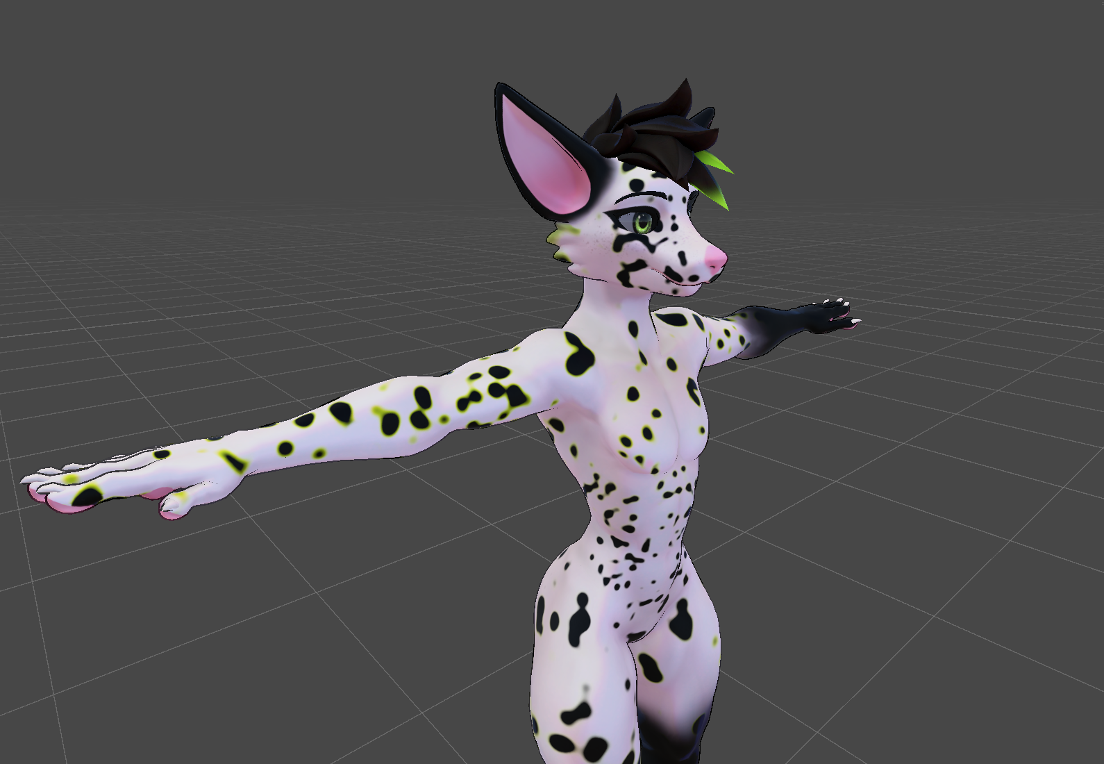 Dalmatian Viwi Texture