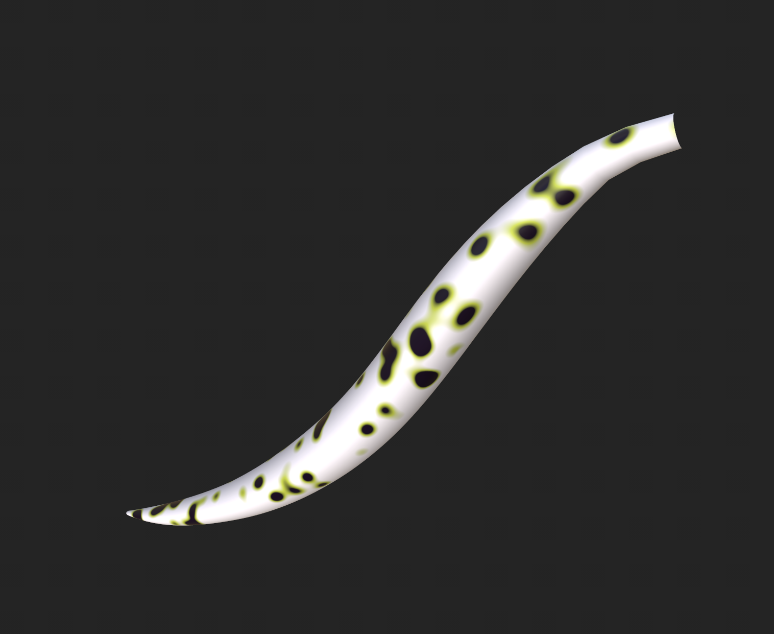 Dalmatian Viwi Texture