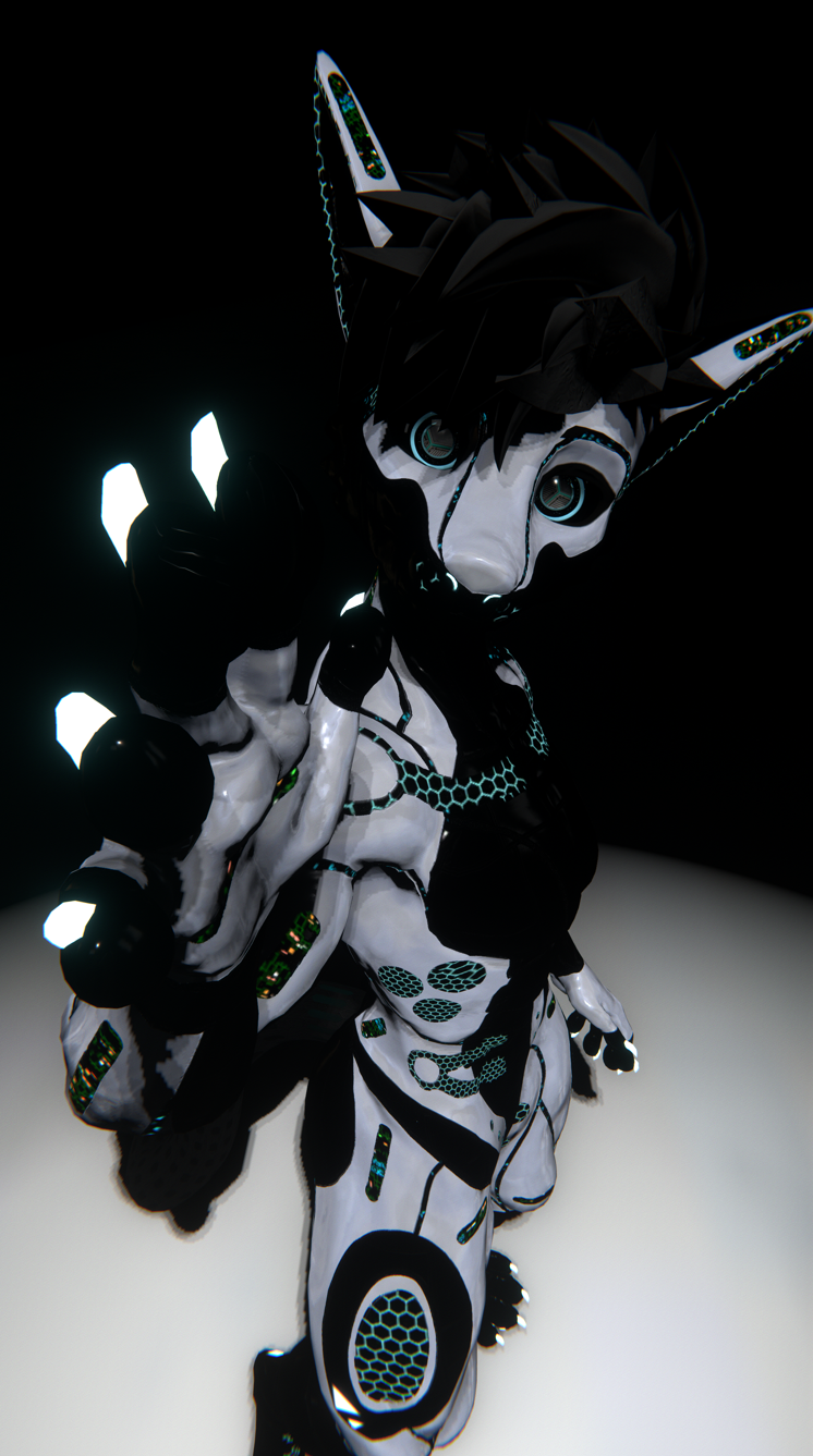 Robotic Viwi