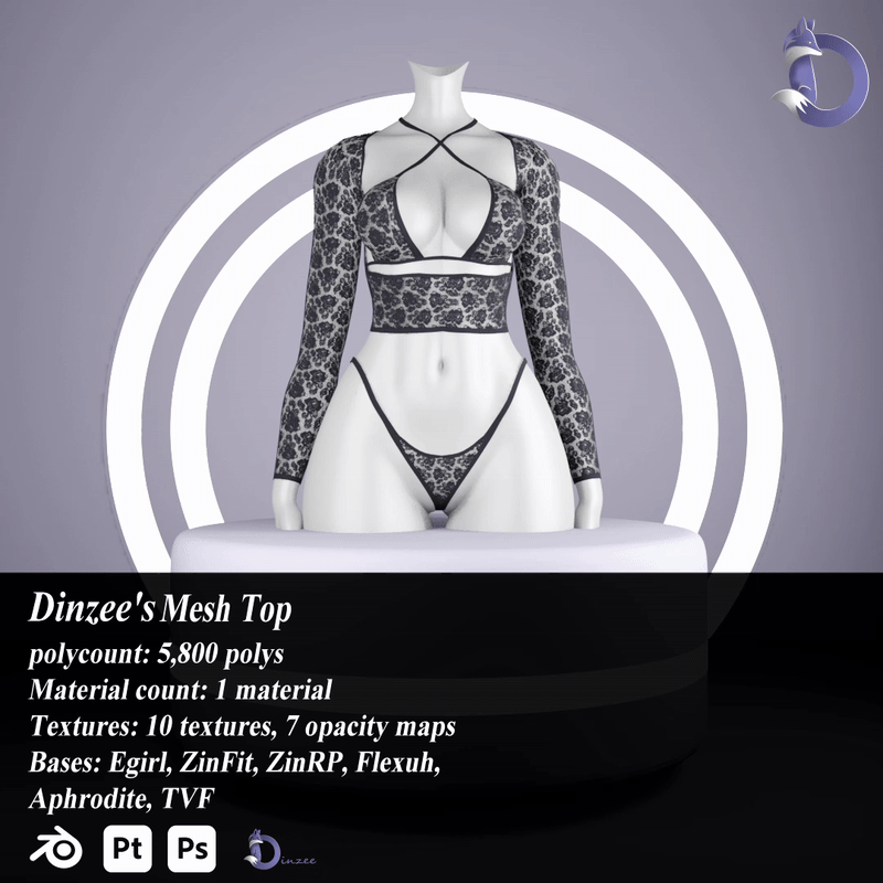 Dinzee's Mesh Top