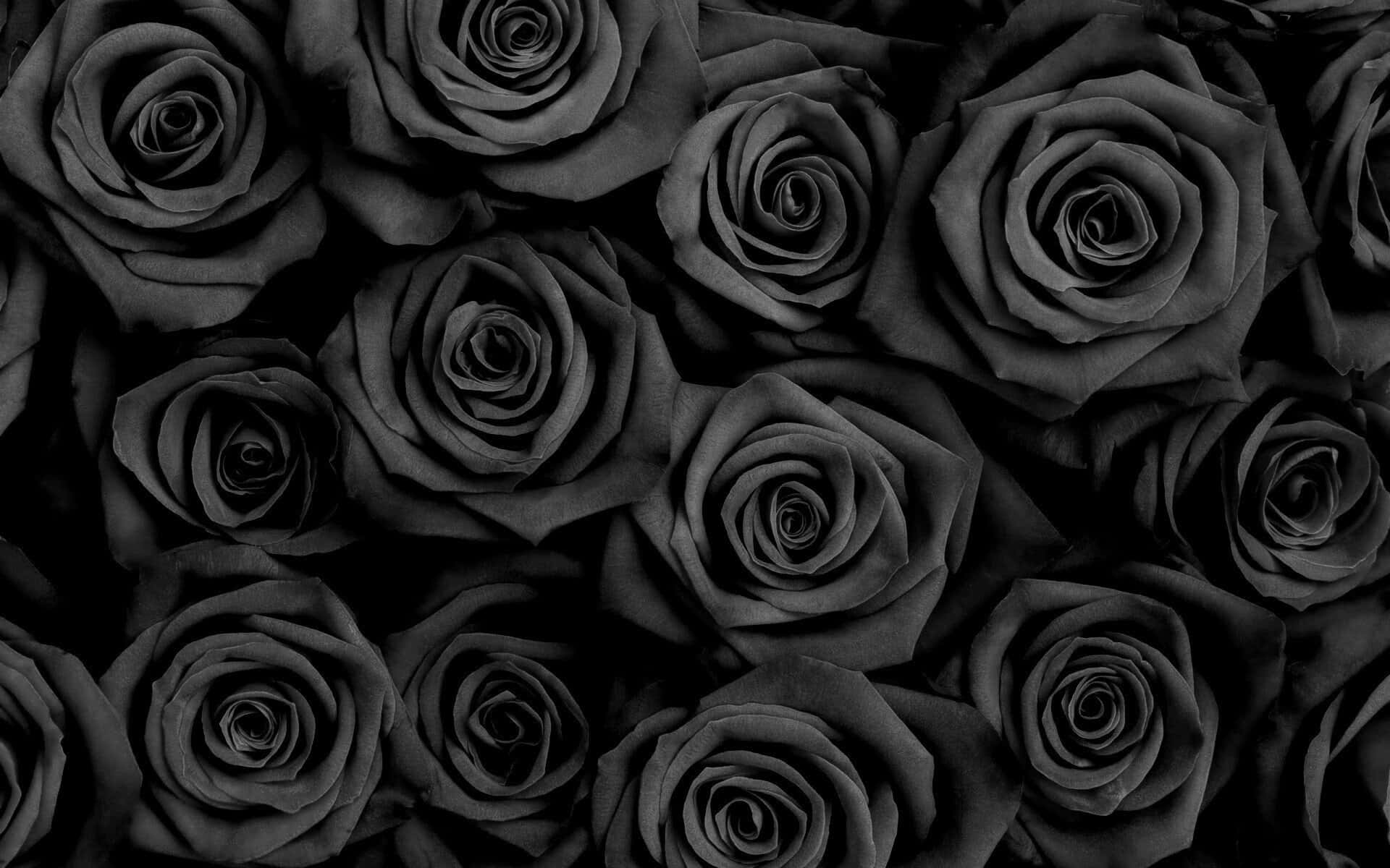 Banner Background