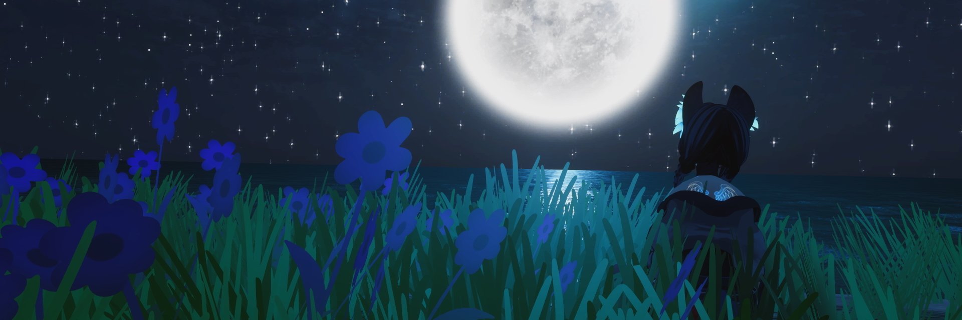 Banner Background