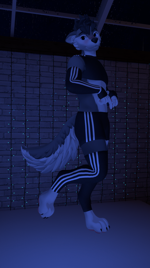 Comfy clothes for Winterpaw Canine