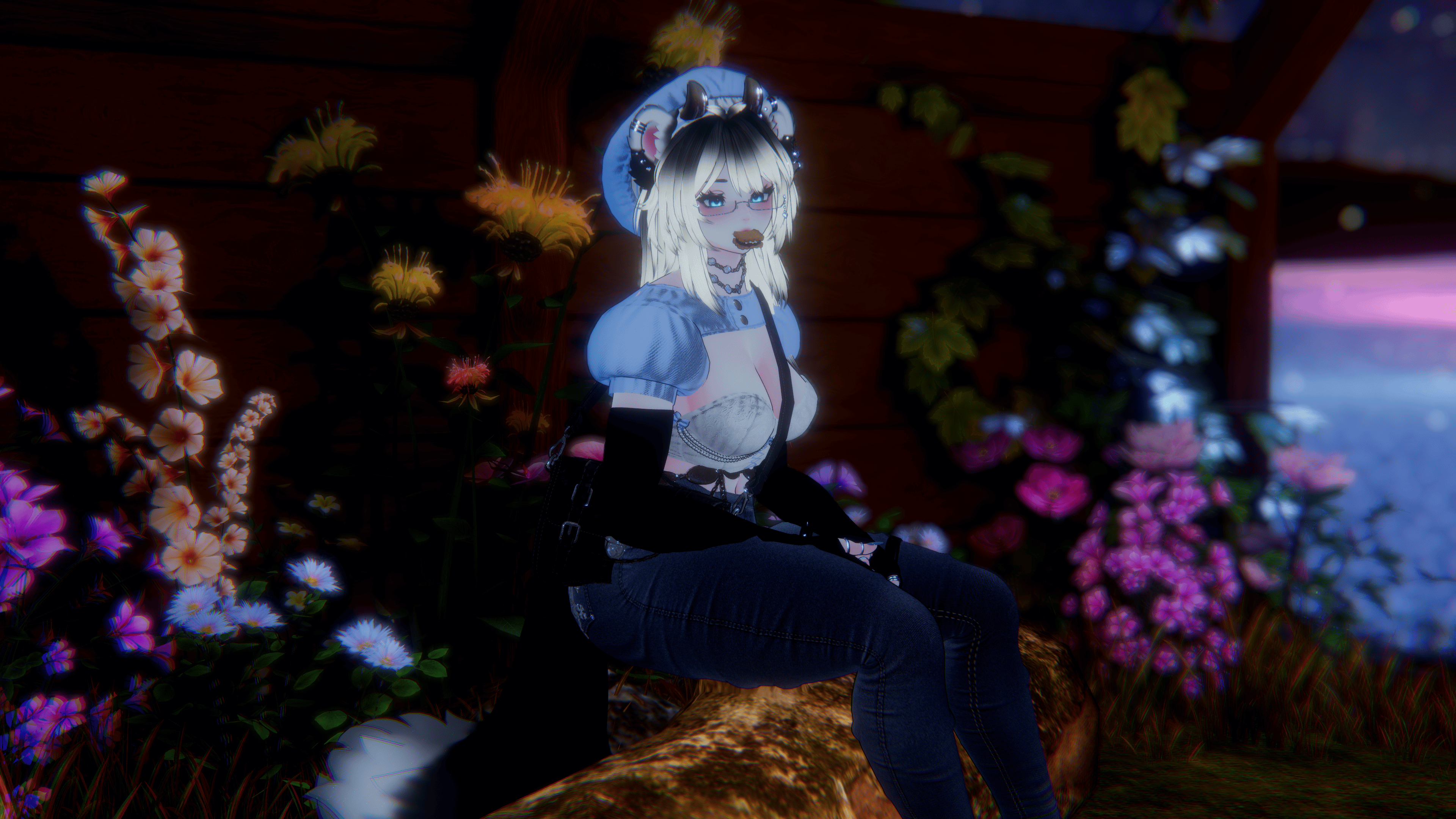 Dixy (PC, QUEST, Sps, Gogo)