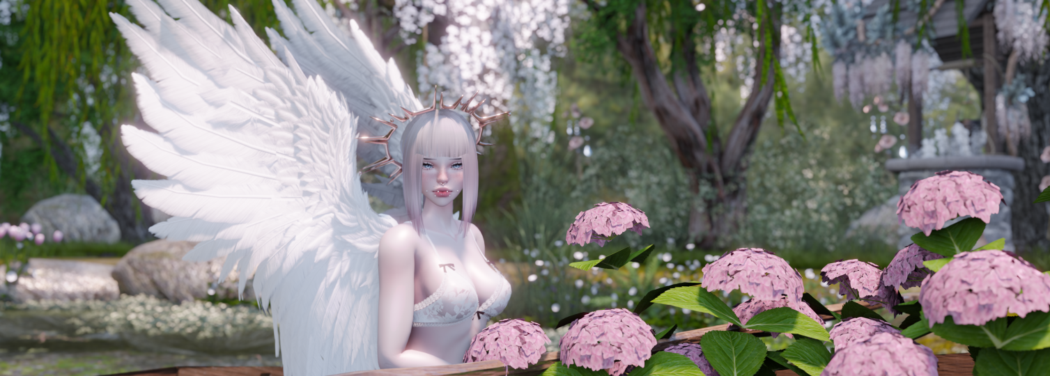 Banner Background