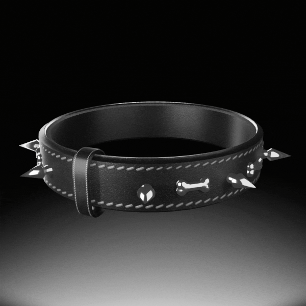 Spiked Leather Collar
