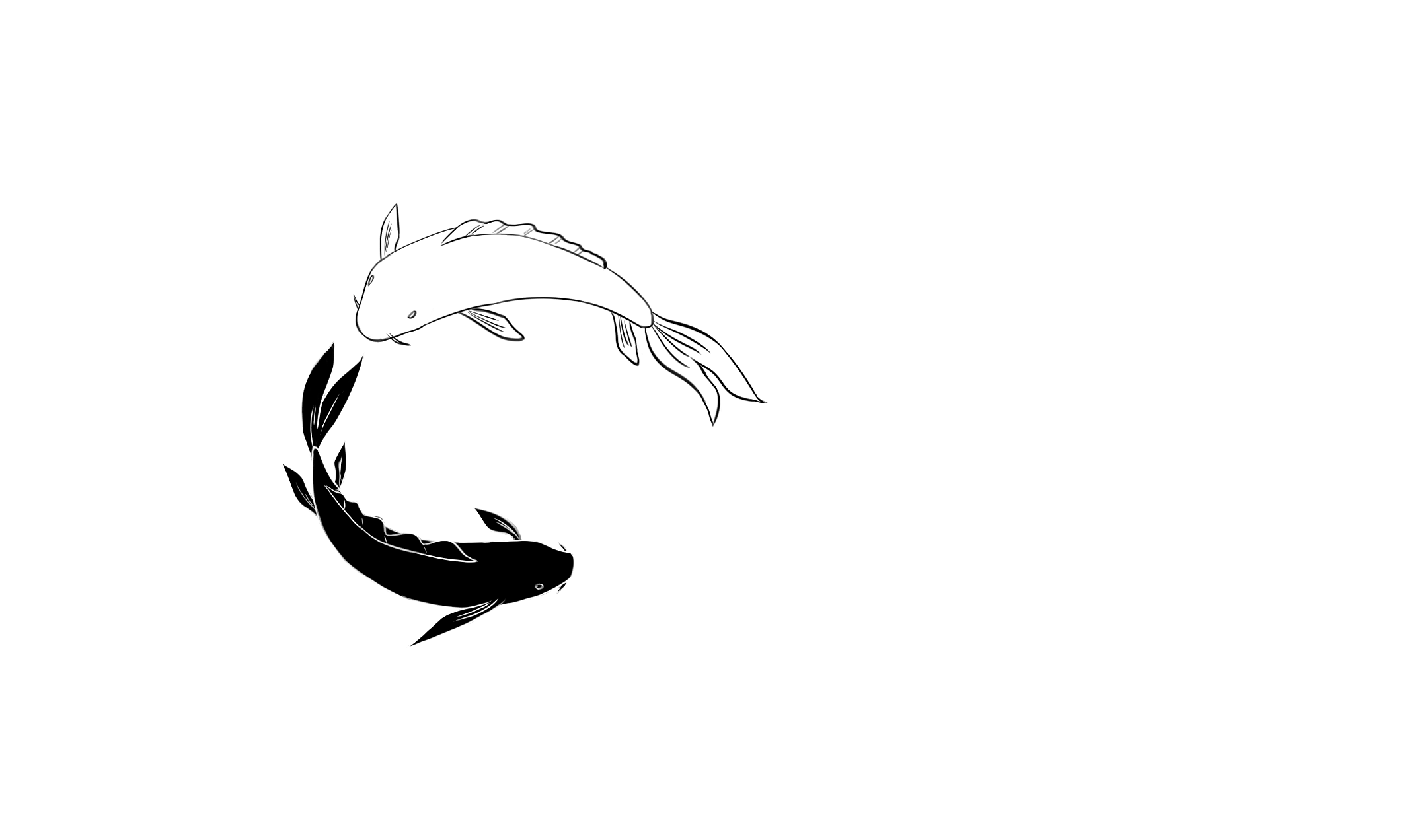 Banner Background