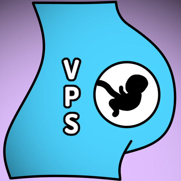 VRChat Pregnancy System