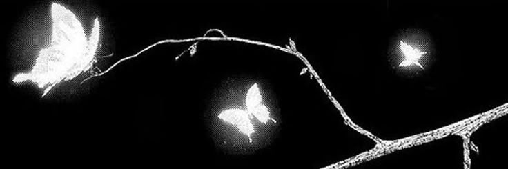 Banner Background