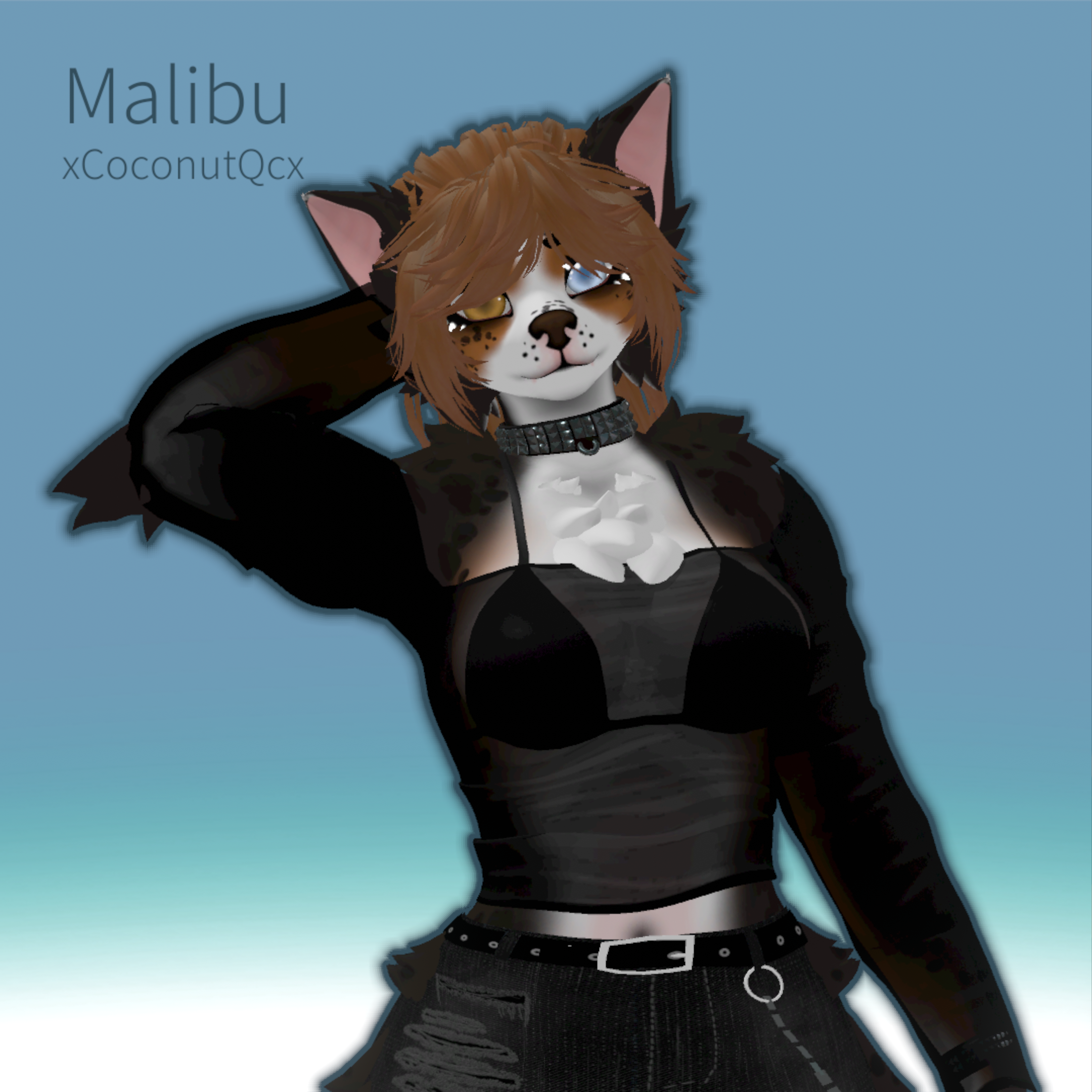 A.Sheperd Malibu