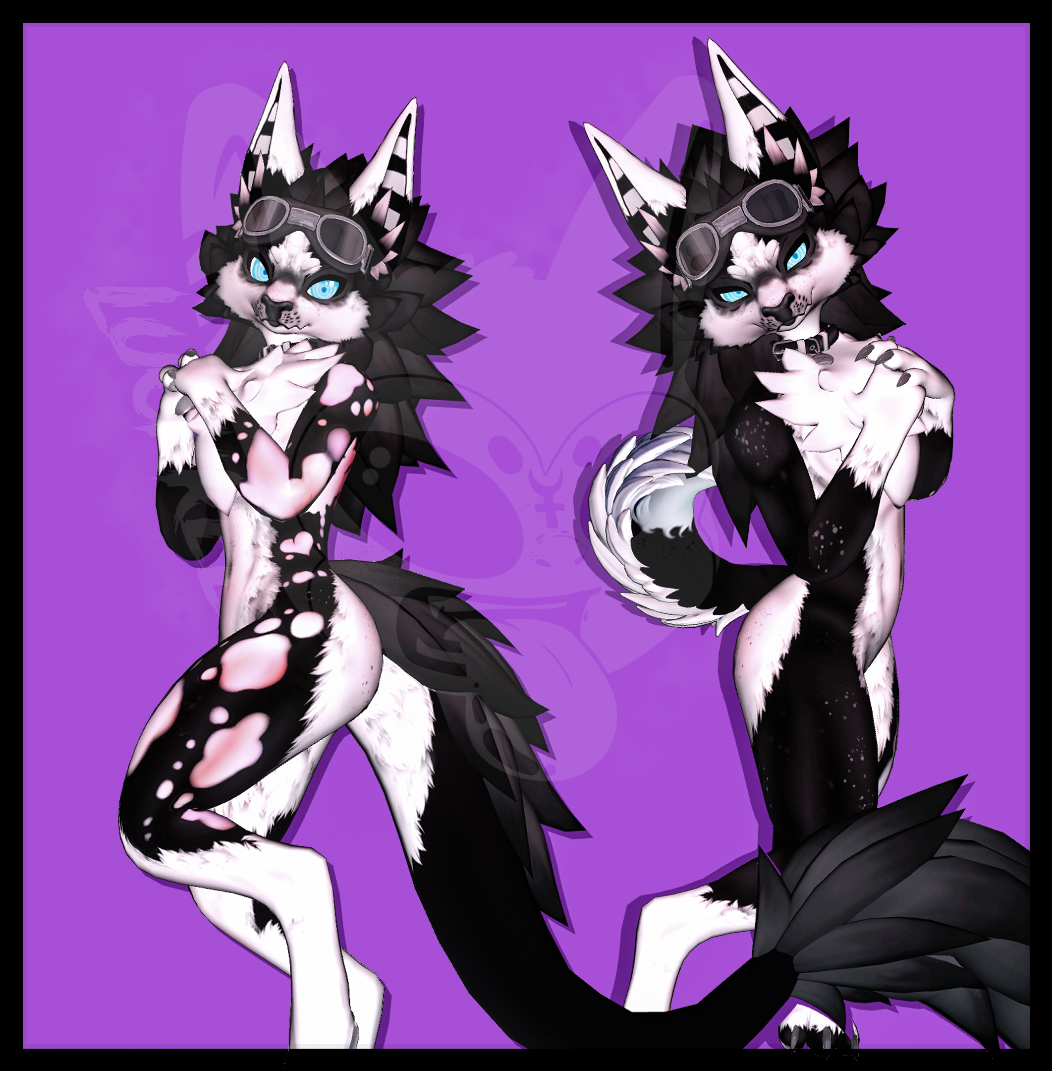 Spotted Husky - Novabeast