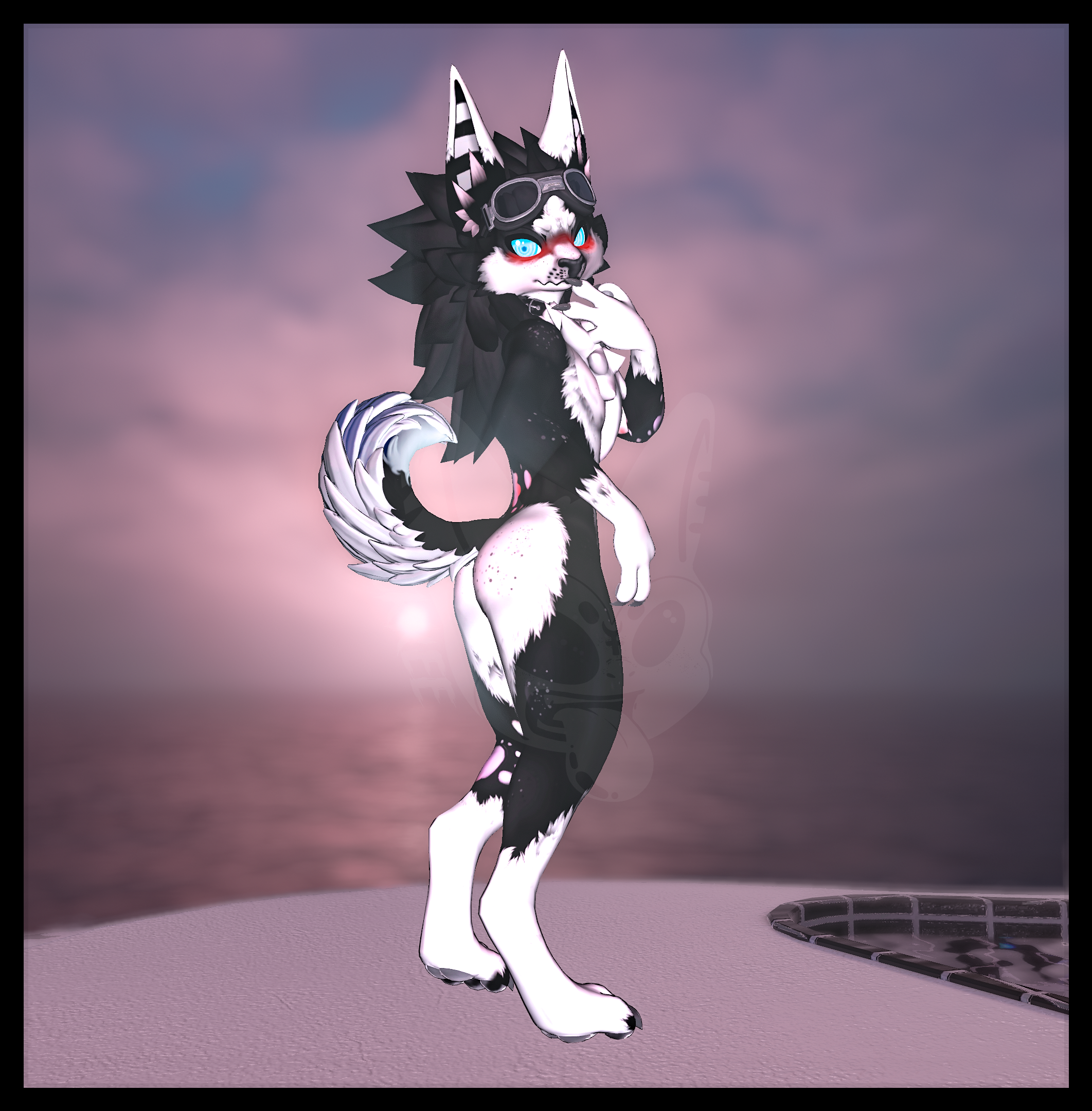 Spotted Husky - Novabeast