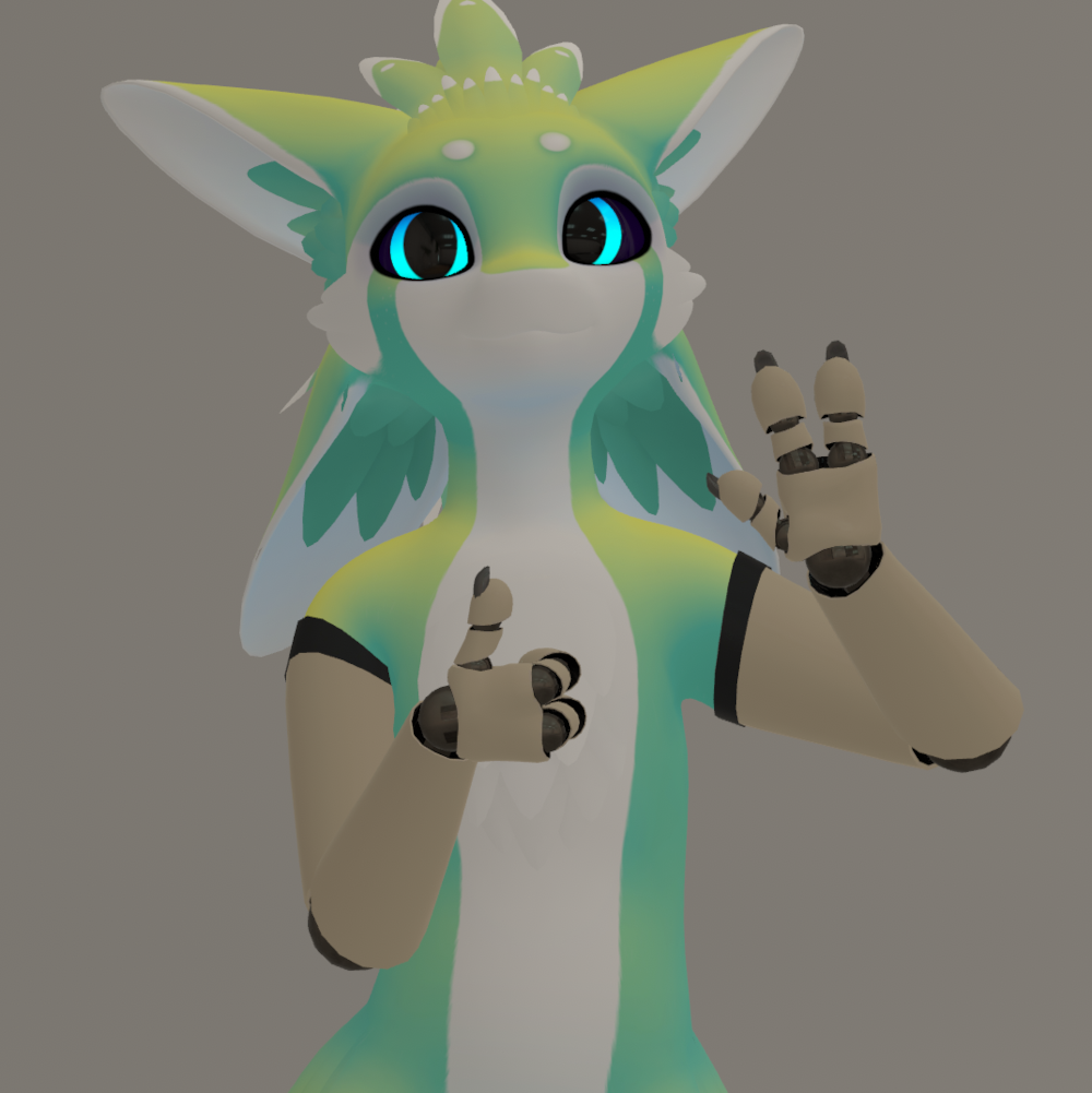 Spiri'vali Prosthetic Limbs