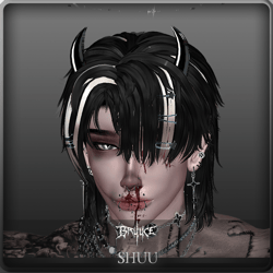 Shuu Hair